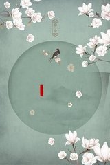 缅北视频